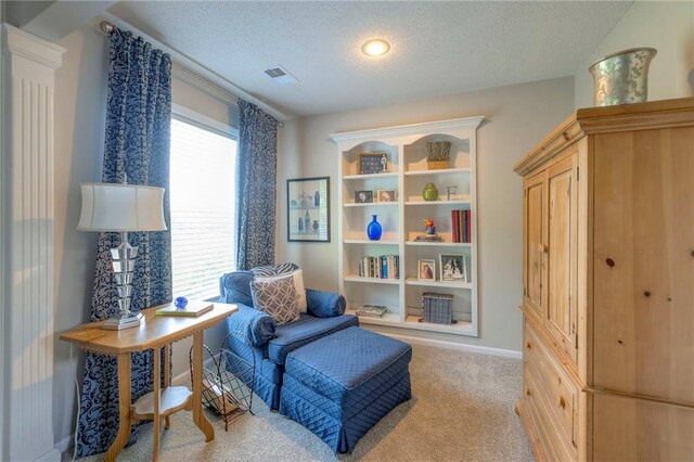 8355 Hallet St, Lenexa, KS 66215 - living area featuring carpet and a textured ceiling