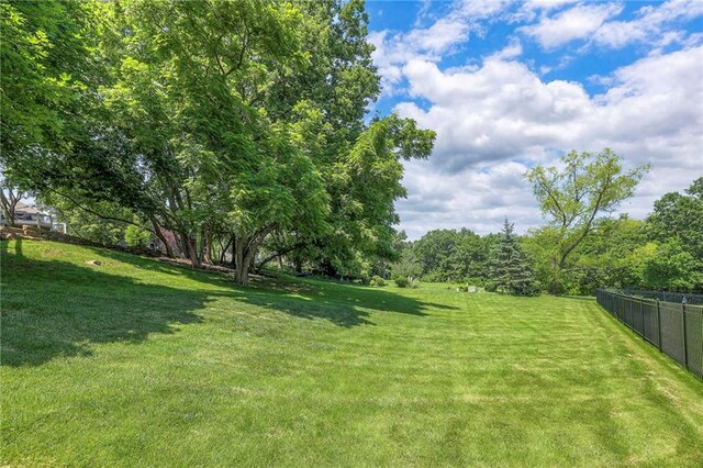 8355 Hallet St, Lenexa, KS 66215 - view of yard
