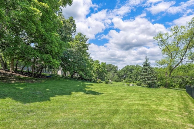 8355 Hallet St, Lenexa, KS 66215 - view of yard