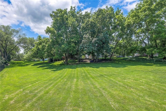 8355 Hallet St, Lenexa, KS 66215 - view of green lawn