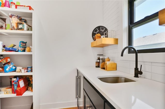 1245 NE Goshen Dr, Lees Summit, MO 64064 - pantry with a sink