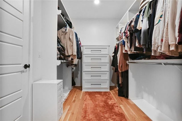 1245 NE Goshen Dr, Lees Summit, MO 64064 - walk in closet with light wood-type flooring