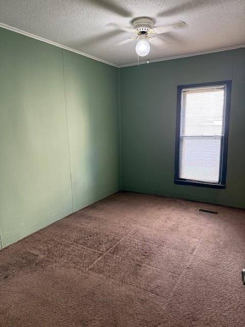 313 Shawnee St, Hiawatha, KS 66434 - carpeted empty room with crown molding, ceiling fan, and a textured ceiling