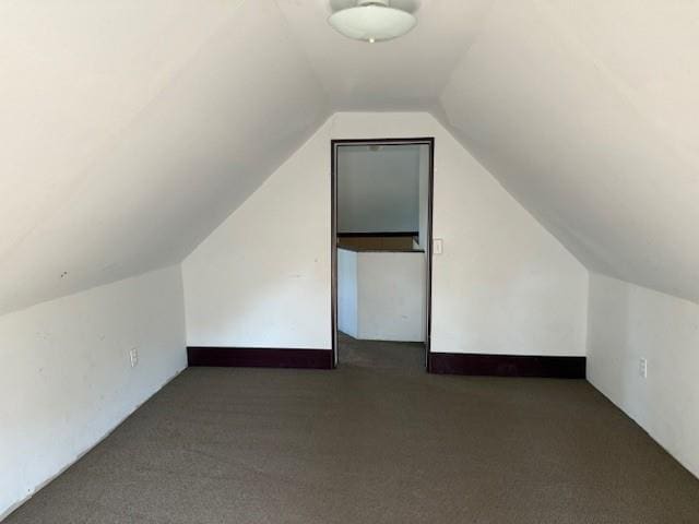 313 Shawnee St, Hiawatha, KS 66434 - bonus room featuring carpet flooring and lofted ceiling
