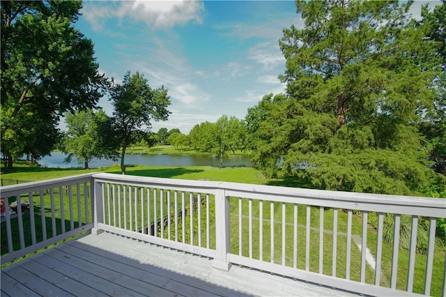 3942 SW Linden Ln, Lees Summit, MO 64082 - photo 33