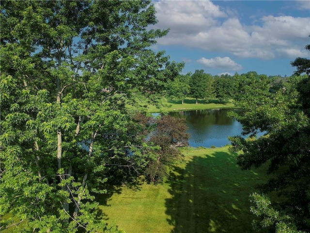 3942 SW Linden Ln, Lees Summit, MO 64082 - photo 34