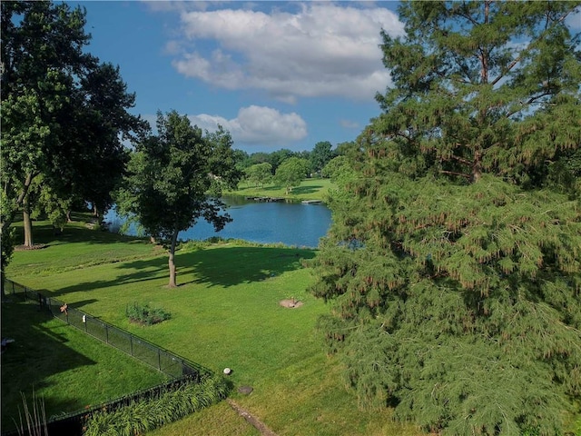 3942 SW Linden Ln, Lees Summit, MO 64082 - photo 35