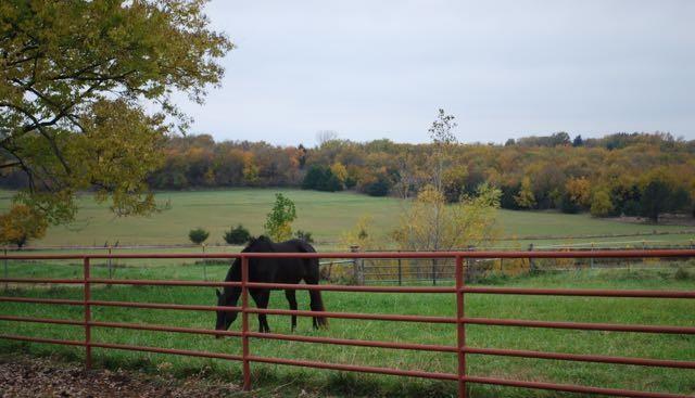 9643 Y Rd, Meriden, KS 66512 - gate with a view of countryside