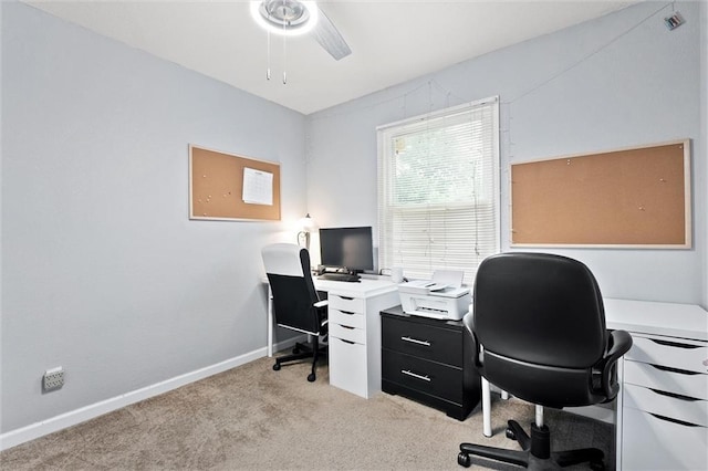 5536 N Highland Ave, Kansas City, MO 64118 - photo 19