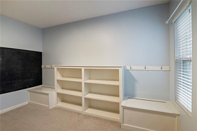 19746 W 105th Ter, Olathe, KS 66061 - photo 53