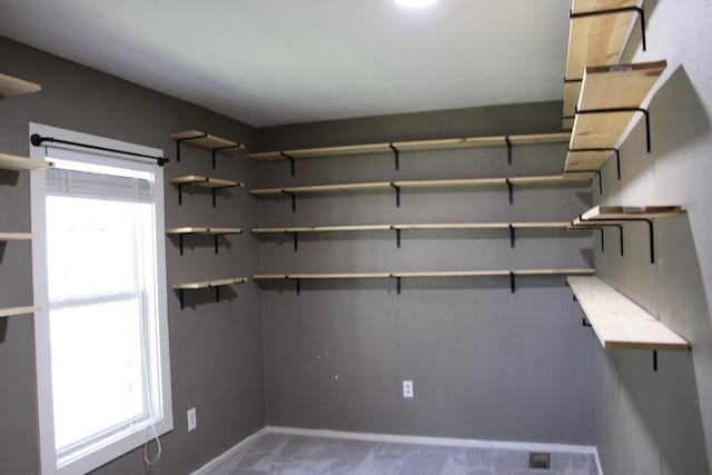 42 Driftwood Ln, Linn Valley, KS 66040 - view of storage area