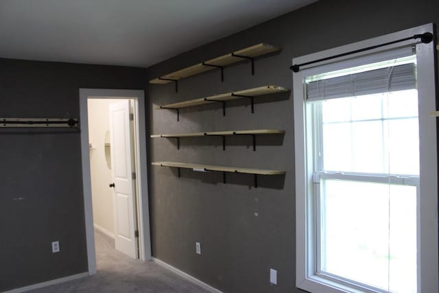 42 Driftwood Ln, Linn Valley, KS 66040 - unfurnished bedroom with multiple windows, carpet, and baseboards