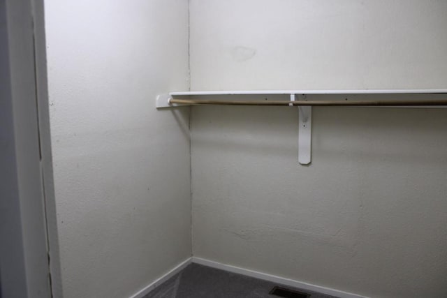 42 Driftwood Ln, Linn Valley, KS 66040 - view of spacious closet