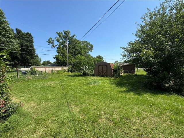 1110 S Plummer Ave, Chanute, KS 66720 - view of yard