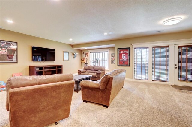 1317 NE Kenwood Dr, Lees Summit, MO 64064 - photo 43