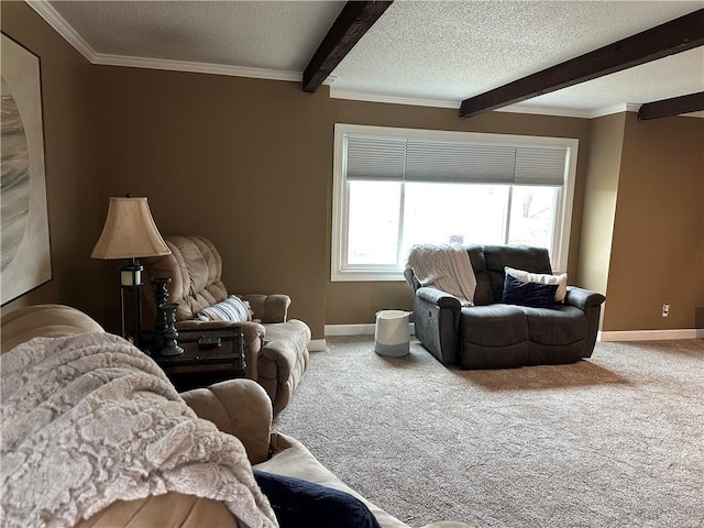 26609 S Red Bud Rd, Freeman, MO 64746 - living area featuring beamed ceiling, carpet flooring, a textured ceiling, and ornamental molding