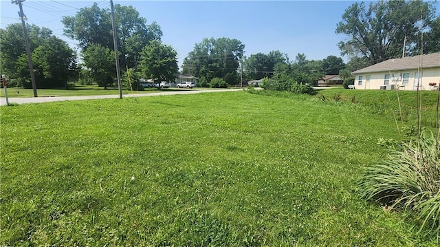 411 S Fulton St, Butler, MO 64730 - view of yard
