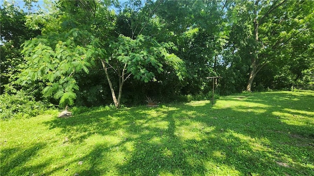 411 S Fulton St, Butler, MO 64730 - view of grassy yard