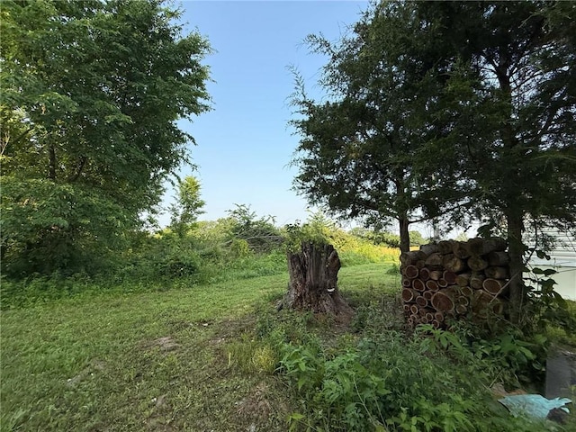 2907 Dune Dr, Odessa, MO 64076 - photo 10