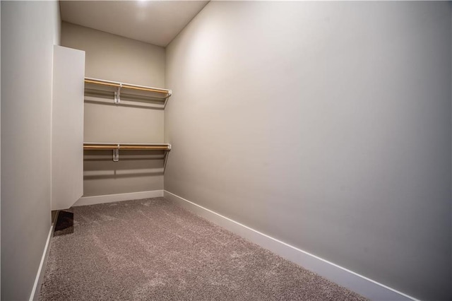 31432 W 85th Ter, De Soto, KS 66018 - spacious closet with carpet flooring