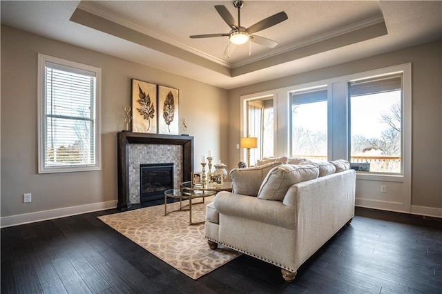 31432 W 85th Ter, De Soto, KS 66018 - living area with a tray ceiling, ornamental molding, ceiling fan, dark wood-type flooring, and a stone fireplace