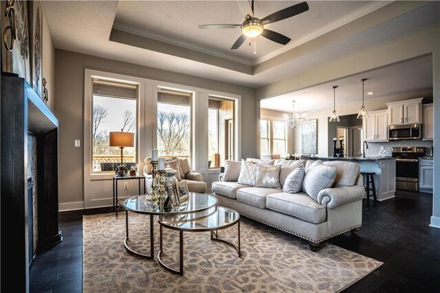 31432 W 85th Ter, De Soto, KS 66018 - living room with a raised ceiling, ceiling fan, dark wood finished floors, and ornamental molding