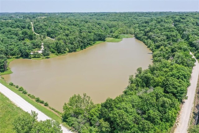 31965 Lakecrest Dr, Excelsior Springs, MO 64024 - bird's eye view of a nearby body of water and a forest