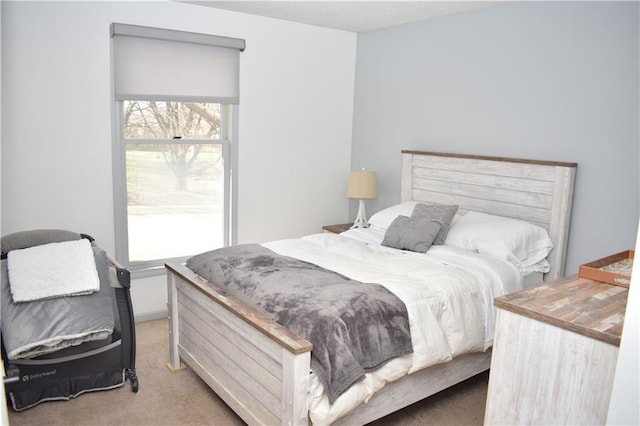 7833 Garnett St, Lenexa, KS 66214 - view of carpeted bedroom