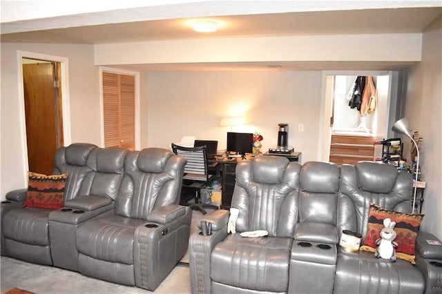 7833 Garnett St, Lenexa, KS 66214 - view of cinema