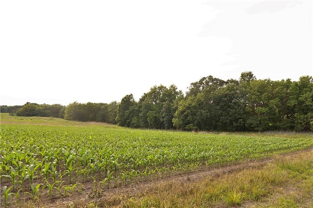 Liv 514 Rd, Chillicothe, MO 64601