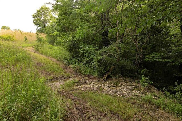 Liv 514 Rd, Chillicothe, MO 64601