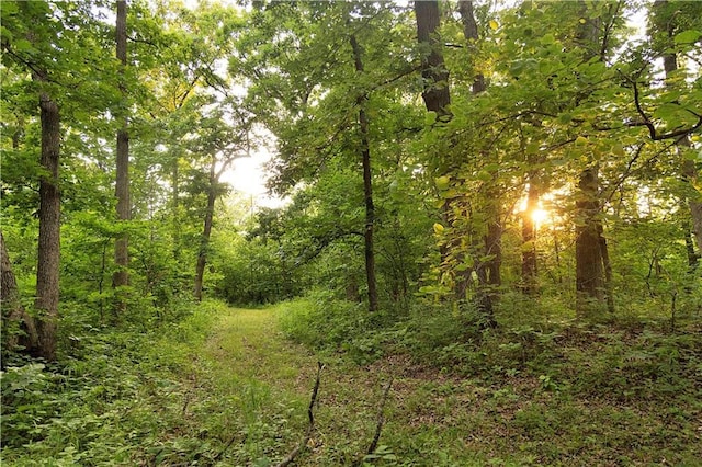 Liv 514 Rd, Chillicothe, MO 64601