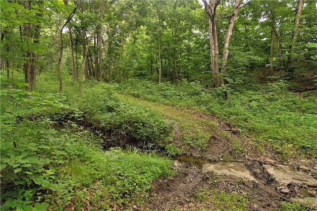 Liv 514 Rd, Chillicothe, MO 64601