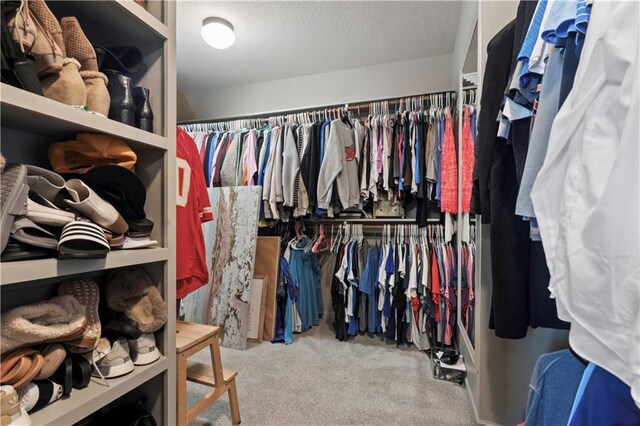 4529 Lakecrest Dr, Shawnee, KS 66218 - spacious closet with carpet floors