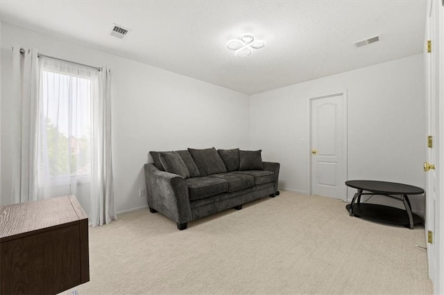 6205 W 149th St, Overland Park, KS 66223 - living area with carpet flooring