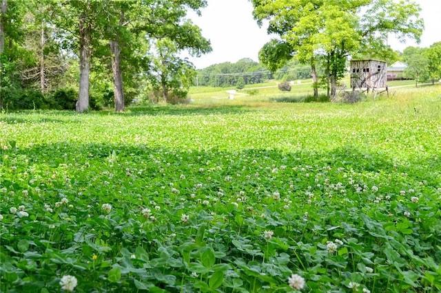 22920 Feaster Branch Rd, Warsaw, MO 64355 - view of yard