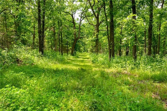 22920 Feaster Branch Rd, Warsaw, MO 64355 - view of woods