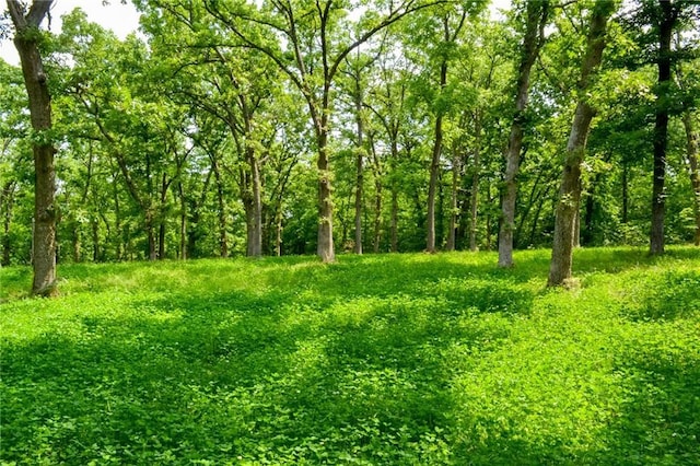 22920 Feaster Branch Rd, Warsaw, MO 64355 - view of nature