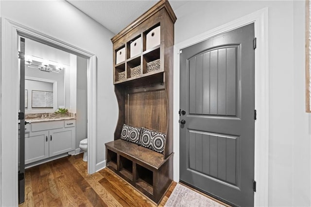 16600 Eby St, Overland Park, KS 66085 - mudroom with dark wood-style flooring and a sink