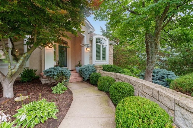 10181 S Shadow Cir, Olathe, KS 66061 - entrance to property with stucco siding and stone siding