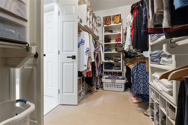 10181 S Shadow Cir, Olathe, KS 66061 - spacious closet with carpet floors