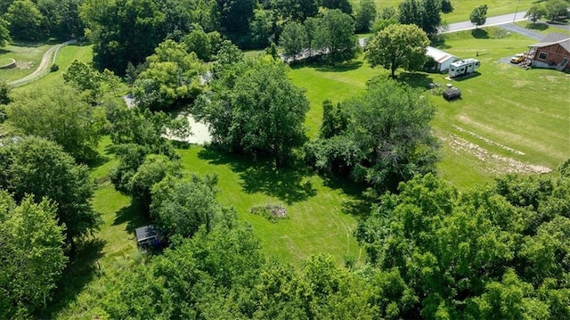 5003 High Drive Terrace, Riverside, MO 64150 - photo 6
