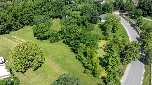 5003 High Drive Terrace, Riverside, MO 64150 - photo 9