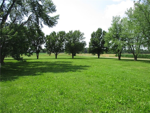 1834 N High School Ave, Columbus, KS 66725 - photo 8
