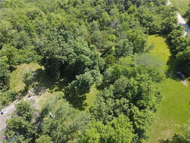 19319 Old Bb Hwy, Holt, MO 64048 - photo 53