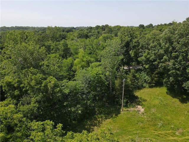 19319 Old Bb Hwy, Holt, MO 64048 - photo 54