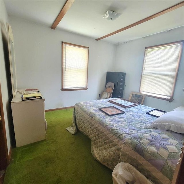 503 Hickory St, Richmond, MO 64085 - view of carpeted bedroom