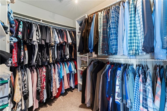 20112 W 220th St, Spring Hill, KS 66083 - walk in closet with carpet