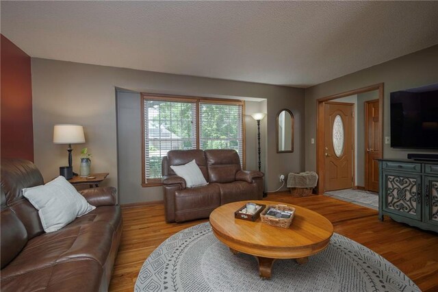 315 Goodrich Dr, Warrensburg, MO 64093 - living area with light wood-style floors