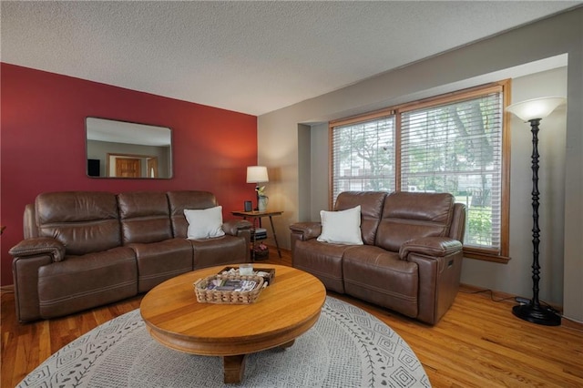315 Goodrich Dr, Warrensburg, MO 64093 - living room with wood finished floors and a textured ceiling